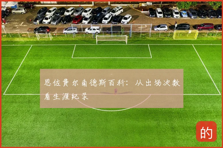 恩佐费尔南德斯百科：从出场次数看生涯纪录